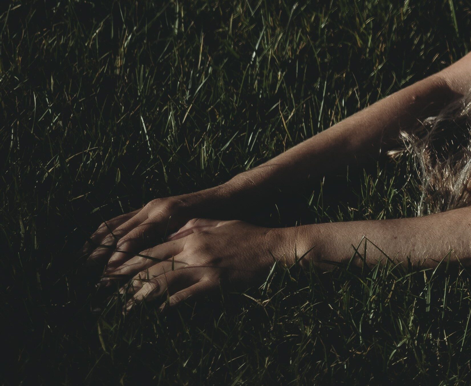 Two hands resting open in tall grass, lit by low evening sun